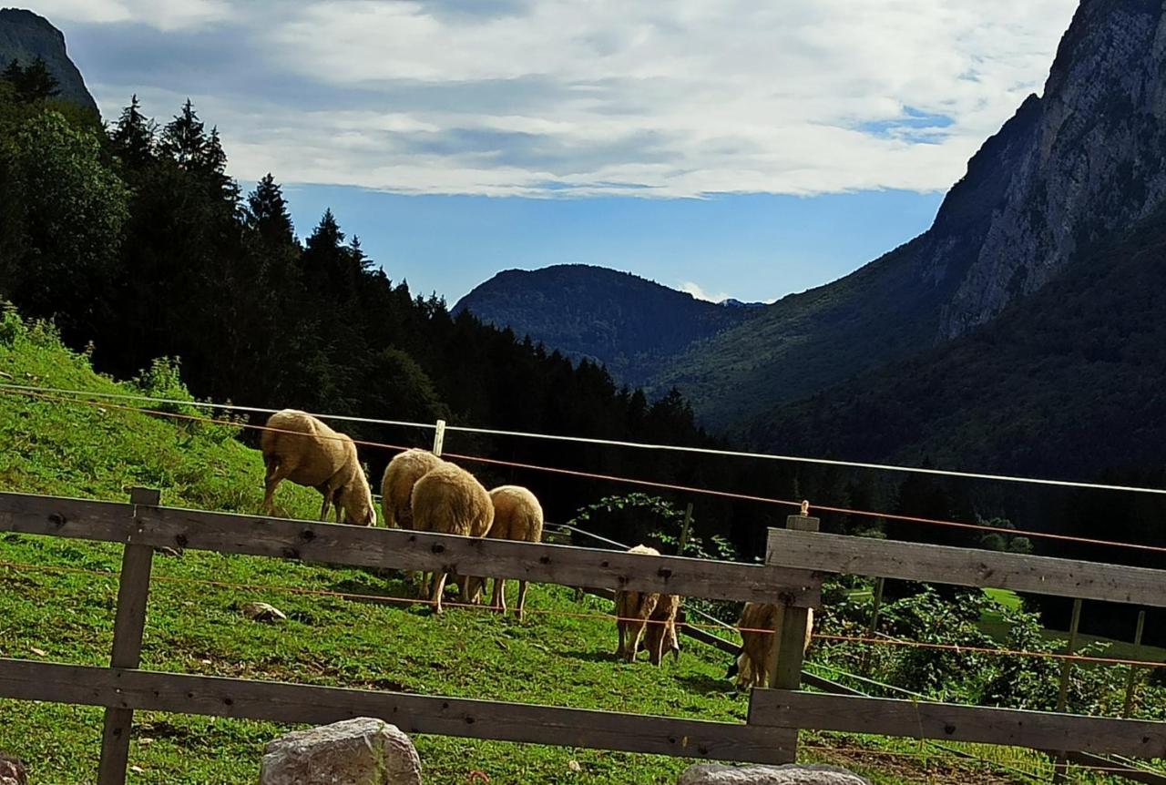 Agriturismo Maso Pertener -Adults Friendly- Comano Terme Exterior foto