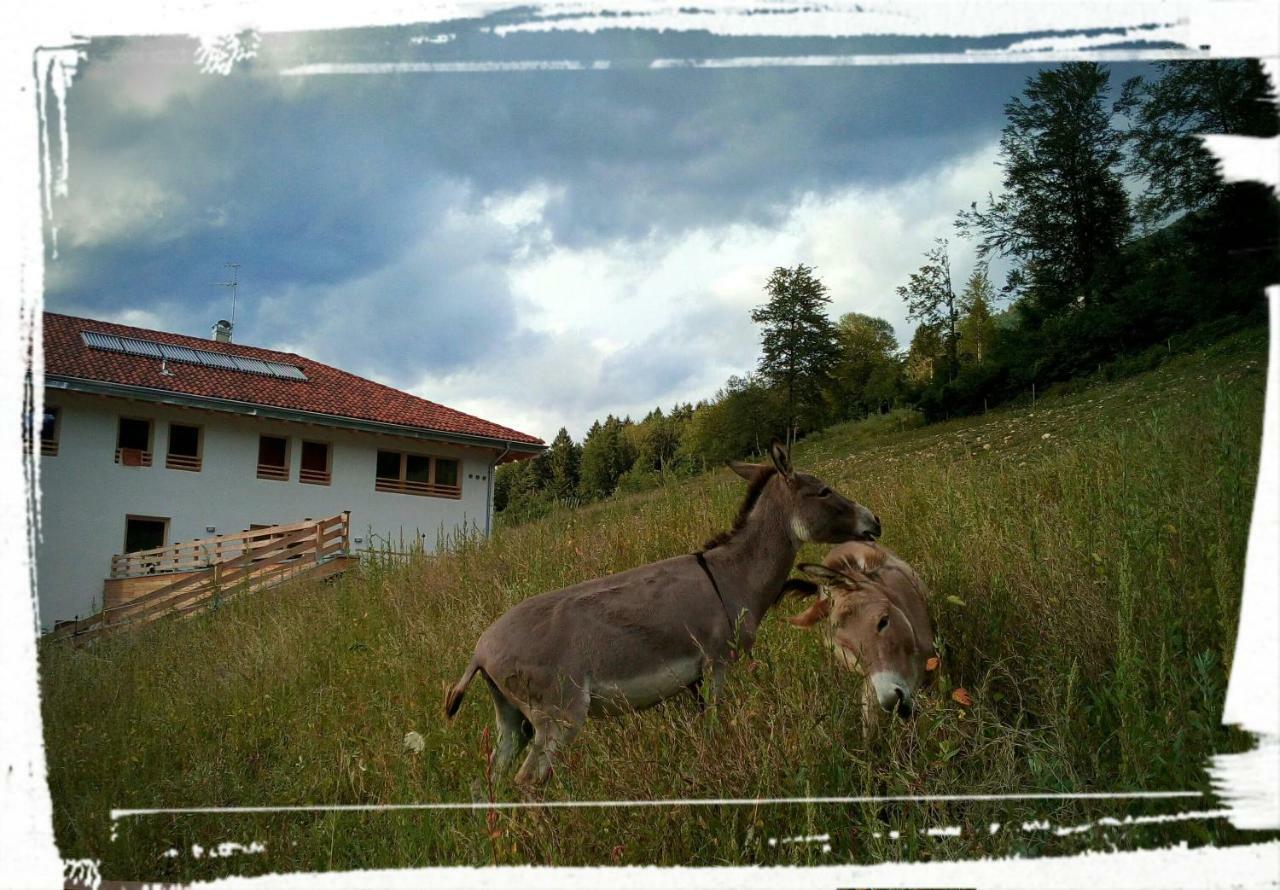 Agriturismo Maso Pertener -Adults Friendly- Comano Terme Exterior foto